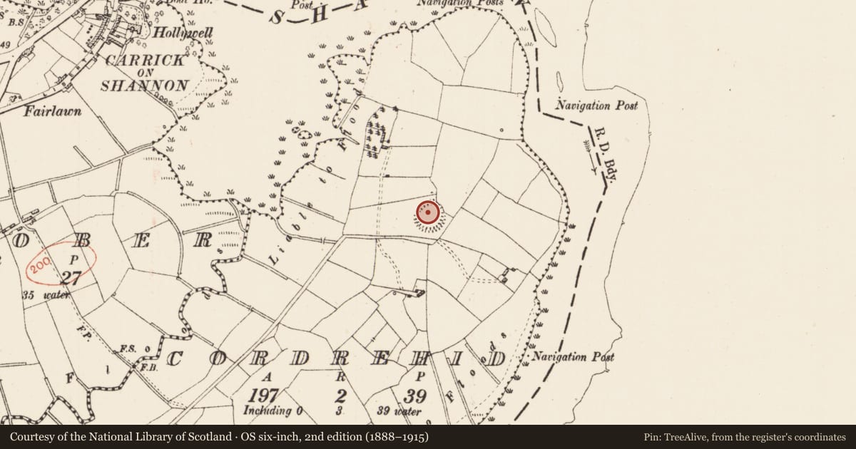 Ordnance Survey six-inch map, 2nd edition (1888–1915) covering the location of Ringfort - rath, Cordrehid, County Roscommon, with a pin at the register's coordinates