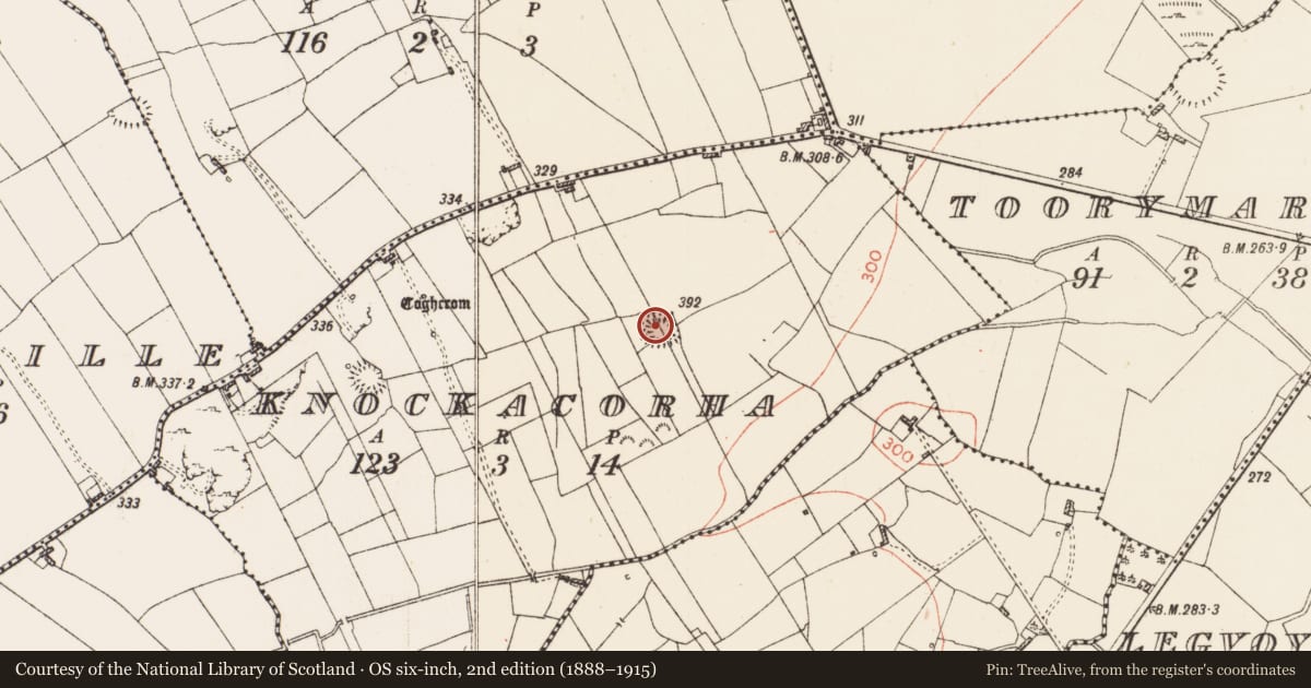 Ordnance Survey six-inch map, 2nd edition (1888–1915) covering the location of Moated site, Knockacorha, County Roscommon, with a pin at the register's coordinates