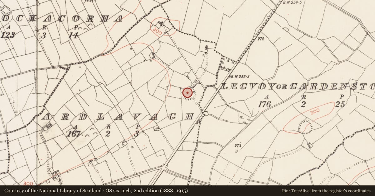 Ordnance Survey six-inch map, 2nd edition (1888–1915) covering the location of Ringfort - rath, Ardlavagh, County Roscommon, with a pin at the register's coordinates