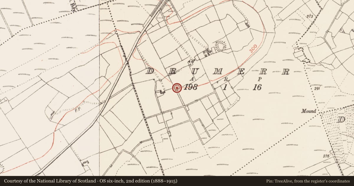 Ordnance Survey six-inch map, 2nd edition (1888–1915) covering the location of Ringfort - rath, Drumerr, County Roscommon, with a pin at the register's coordinates