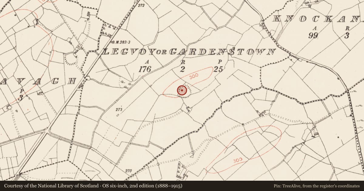 Ordnance Survey six-inch map, 2nd edition (1888–1915) covering the location of Ringfort - rath, Legvoy Or Gardenstown, County Roscommon, with a pin at the register's coordinates