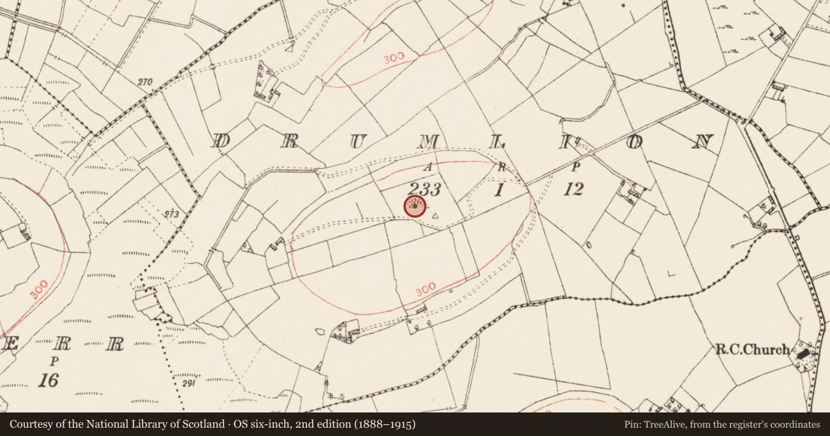 Ordnance Survey six-inch map, 2nd edition (1888–1915) covering the location of Ringfort - rath, Drumlion, County Roscommon, with a pin at the register's coordinates