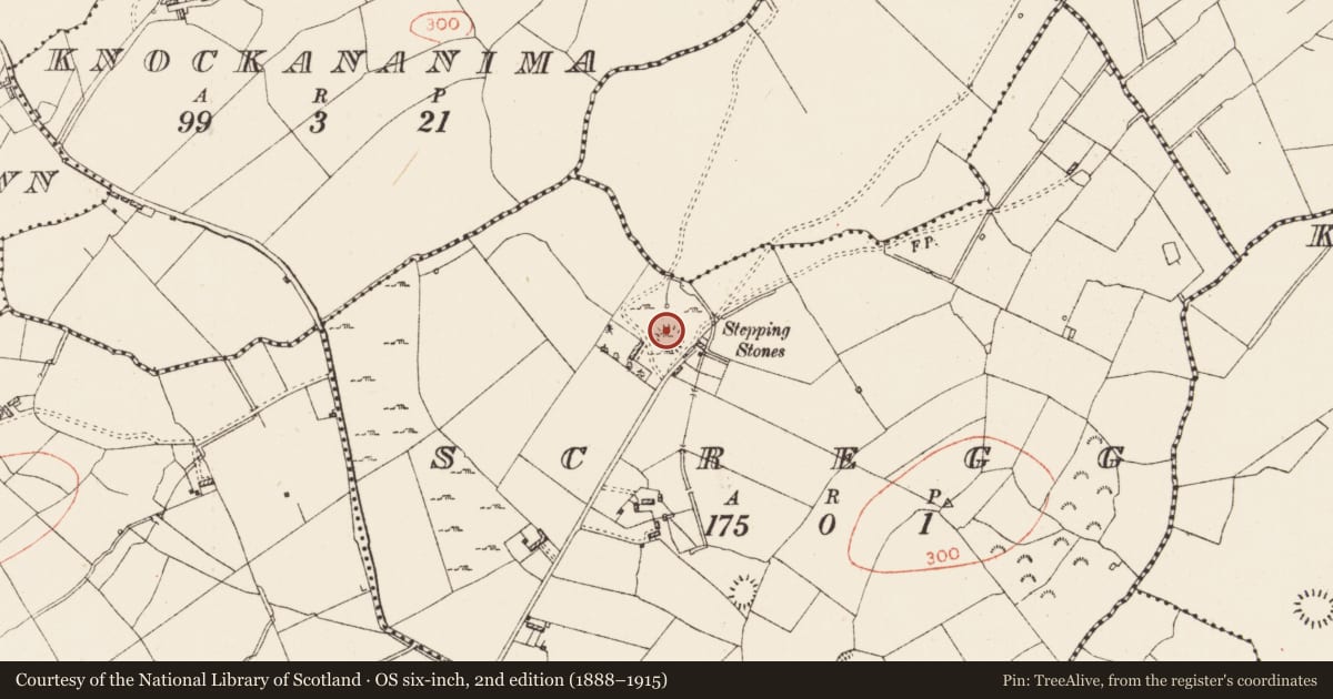 Ordnance Survey six-inch map, 2nd edition (1888–1915) covering the location of Ringfort - cashel, Scregg, County Roscommon, with a pin at the register's coordinates