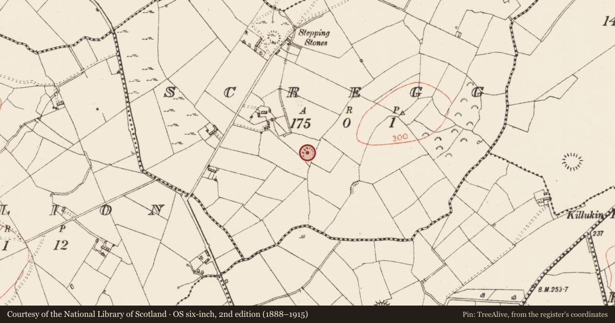 Ordnance Survey six-inch map, 2nd edition (1888–1915) covering the location of Ringfort - rath, Scregg, County Roscommon, with a pin at the register's coordinates