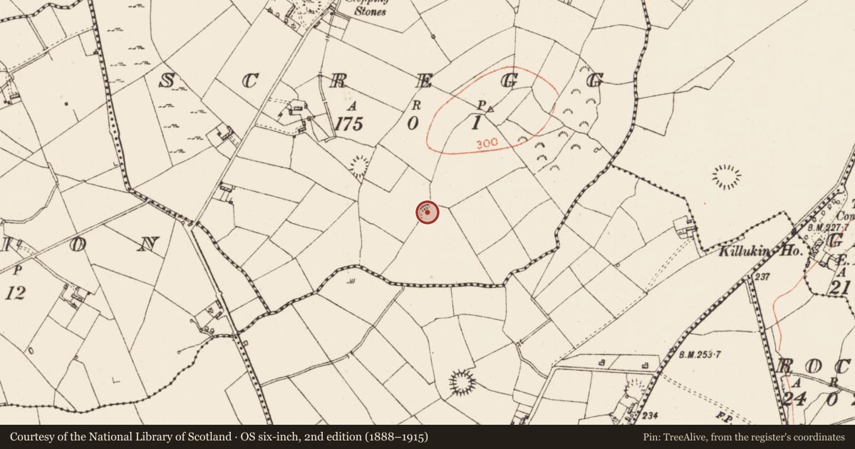 Ordnance Survey six-inch map, 2nd edition (1888–1915) covering the location of Ringfort - rath, Scregg, County Roscommon, with a pin at the register's coordinates