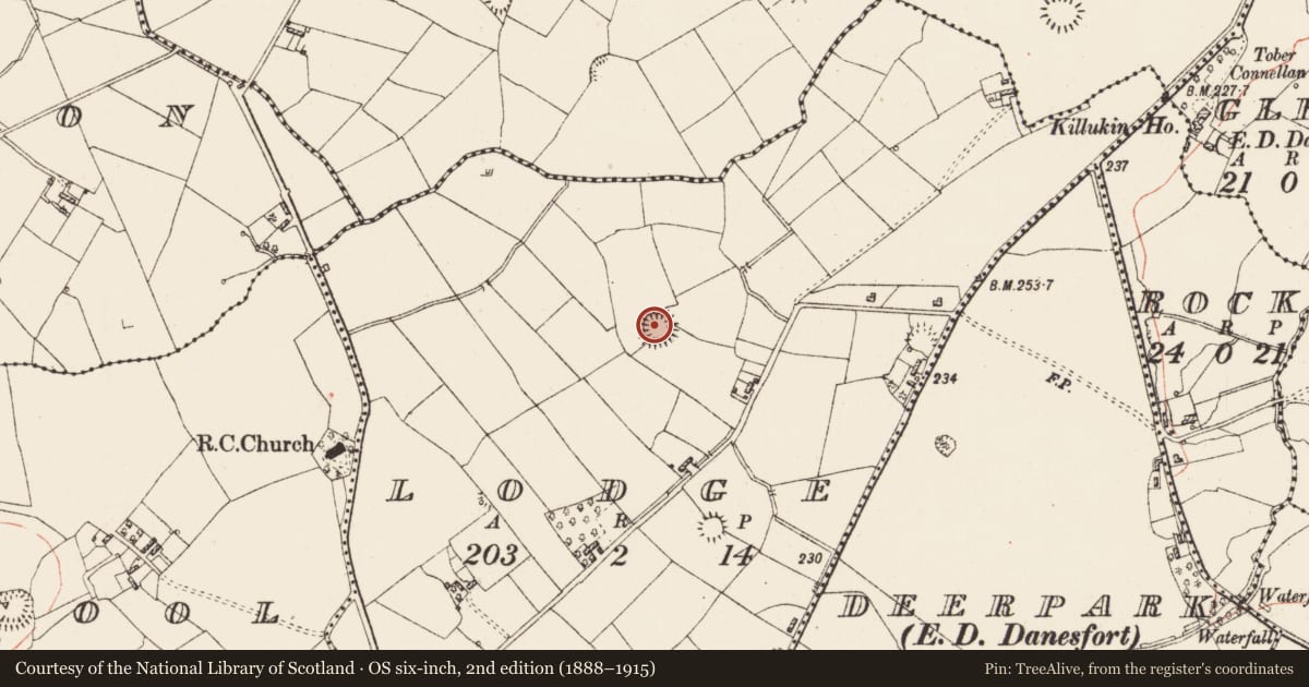 Ordnance Survey six-inch map, 2nd edition (1888–1915) covering the location of Ringfort - rath, Lodge, County Roscommon, with a pin at the register's coordinates