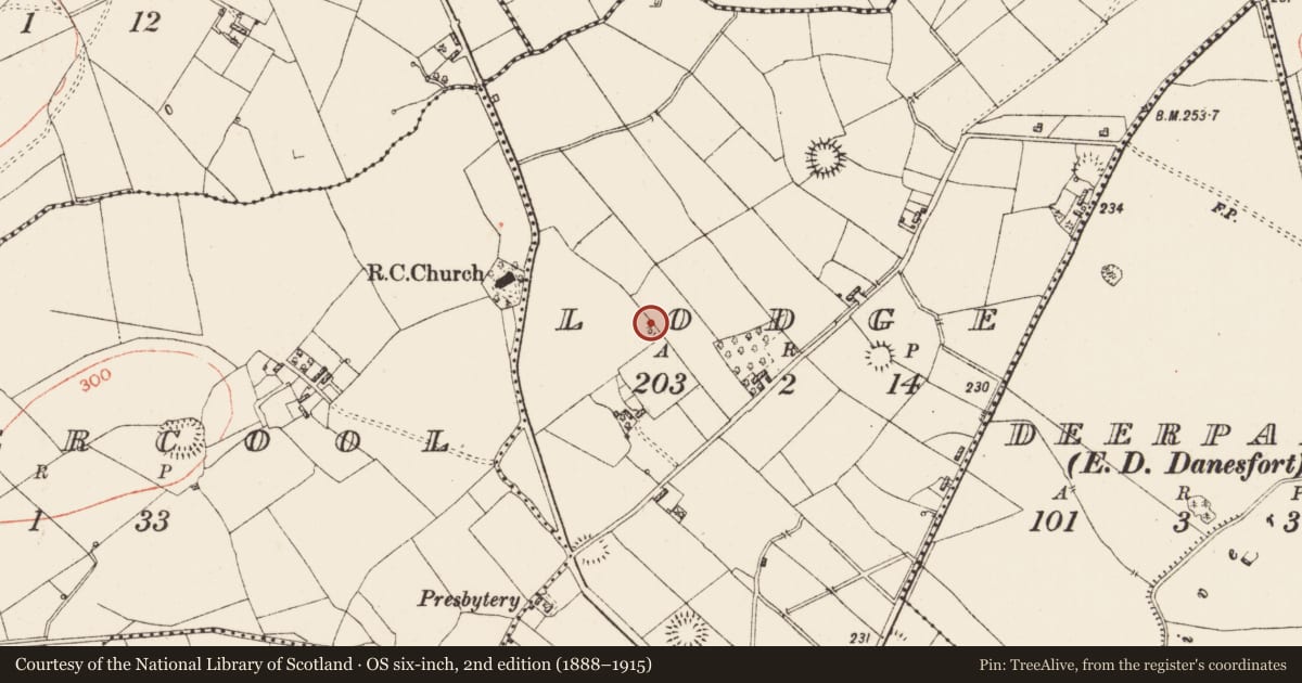 Ordnance Survey six-inch map, 2nd edition (1888–1915) covering the location of Ringfort - rath, Lodge, County Roscommon, with a pin at the register's coordinates