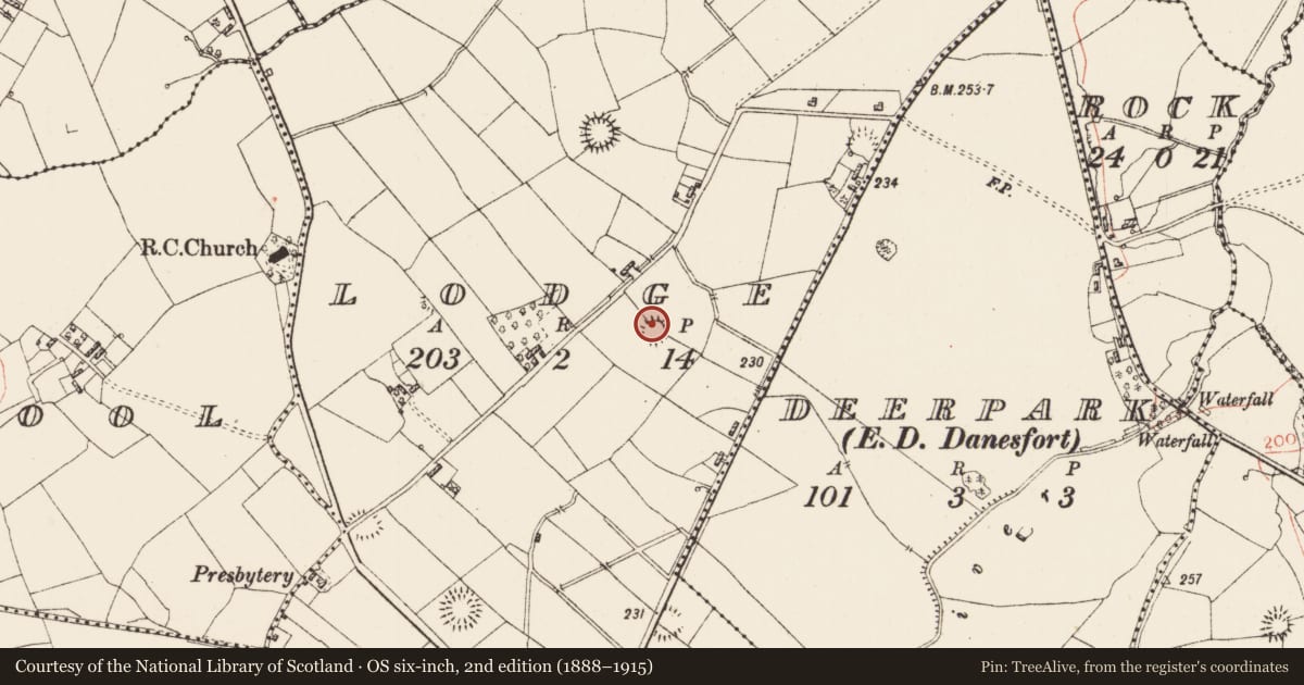 Ordnance Survey six-inch map, 2nd edition (1888–1915) covering the location of Ringfort - rath, Lodge, County Roscommon, with a pin at the register's coordinates
