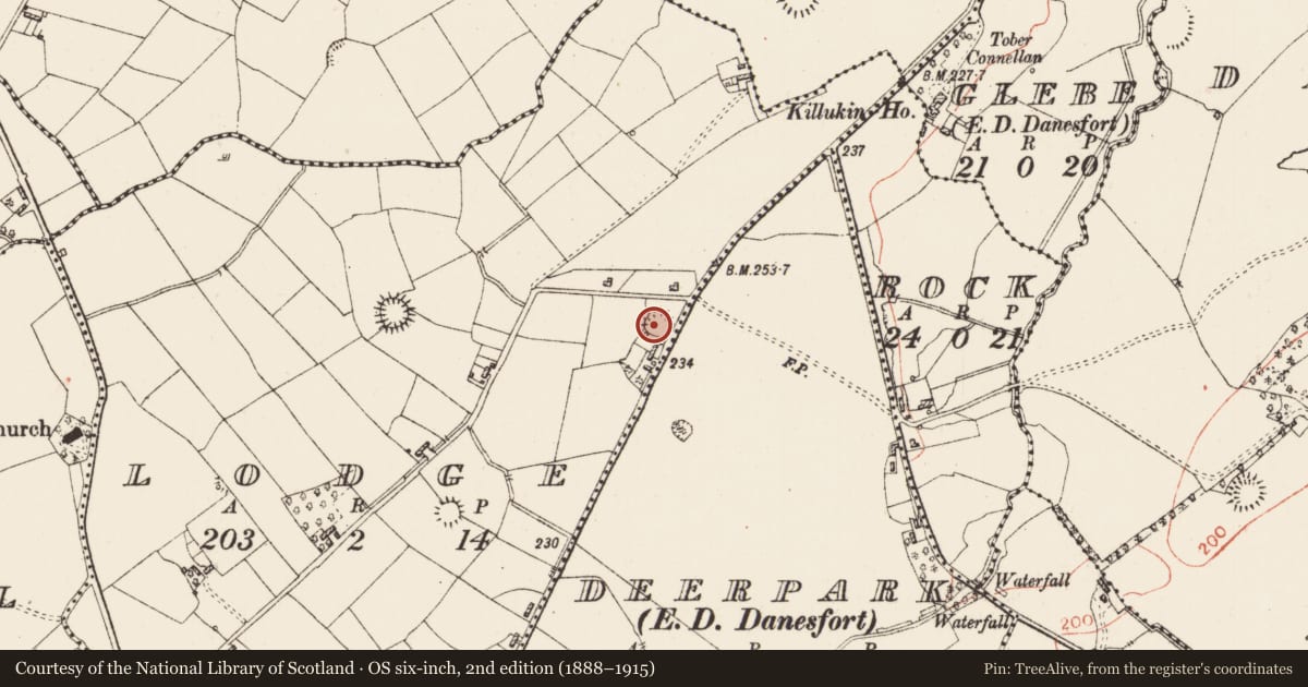 Ordnance Survey six-inch map, 2nd edition (1888–1915) covering the location of Ringfort - rath, Lodge, County Roscommon, with a pin at the register's coordinates