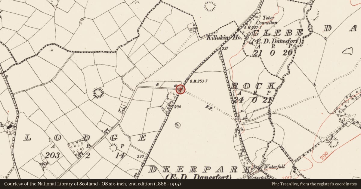 Ordnance Survey six-inch map, 2nd edition (1888–1915) covering the location of Ringfort - rath, Deerpark, Lodge, County Roscommon, with a pin at the register's coordinates