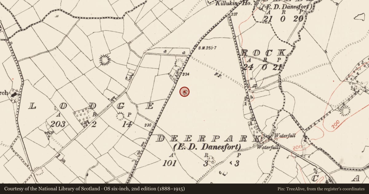 Ordnance Survey six-inch map, 2nd edition (1888–1915) covering the location of Ringfort - rath, Deerpark, County Roscommon, with a pin at the register's coordinates