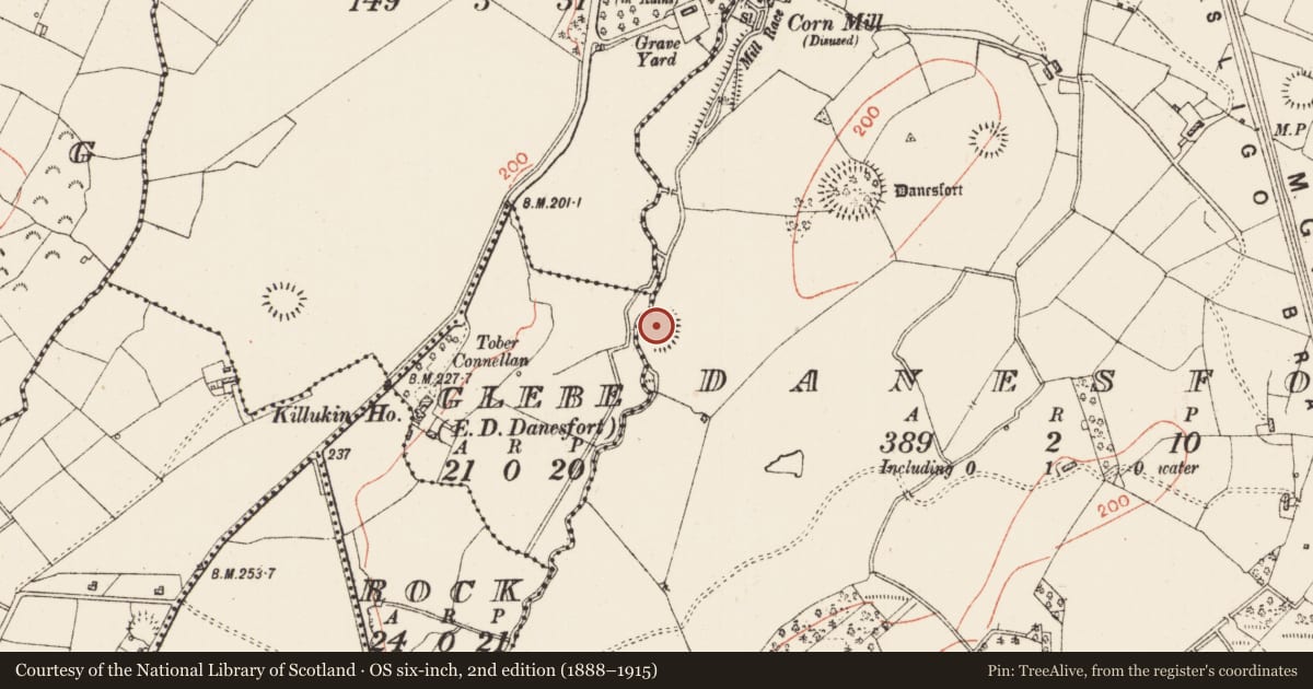 Ordnance Survey six-inch map, 2nd edition (1888–1915) covering the location of Ringfort - rath, Danesfort, County Roscommon, with a pin at the register's coordinates