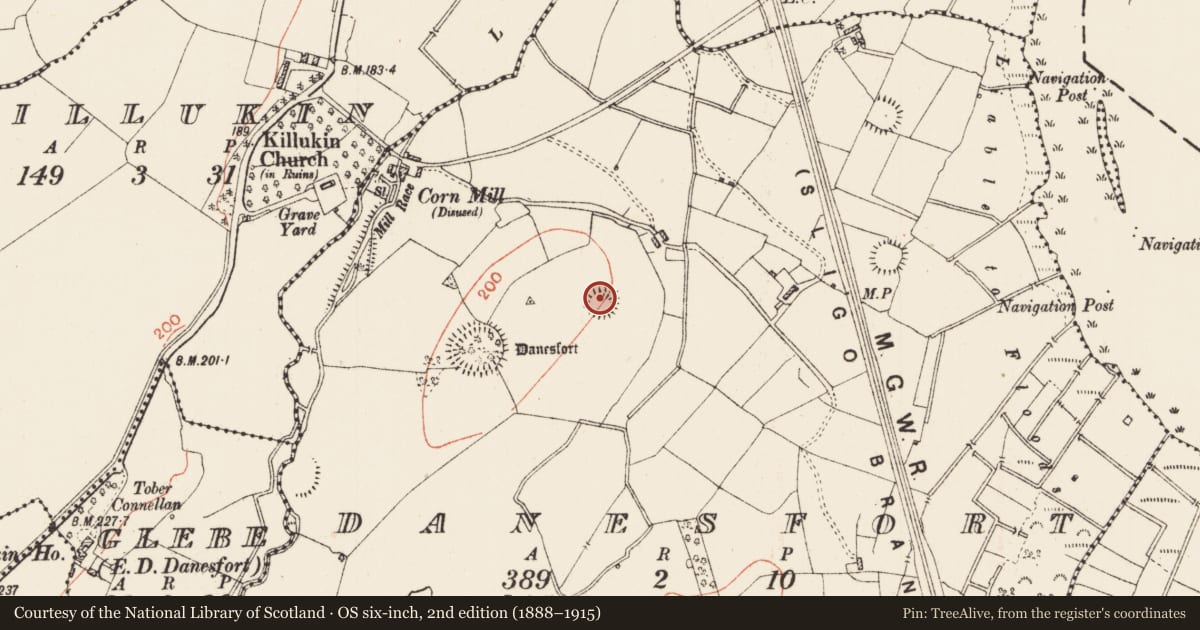 Ordnance Survey six-inch map, 2nd edition (1888–1915) covering the location of Ringfort - rath, Danesfort, County Roscommon, with a pin at the register's coordinates
