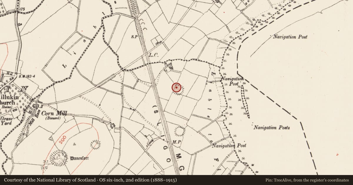 Ordnance Survey six-inch map, 2nd edition (1888–1915) covering the location of Enclosure, Danesfort, County Roscommon, with a pin at the register's coordinates