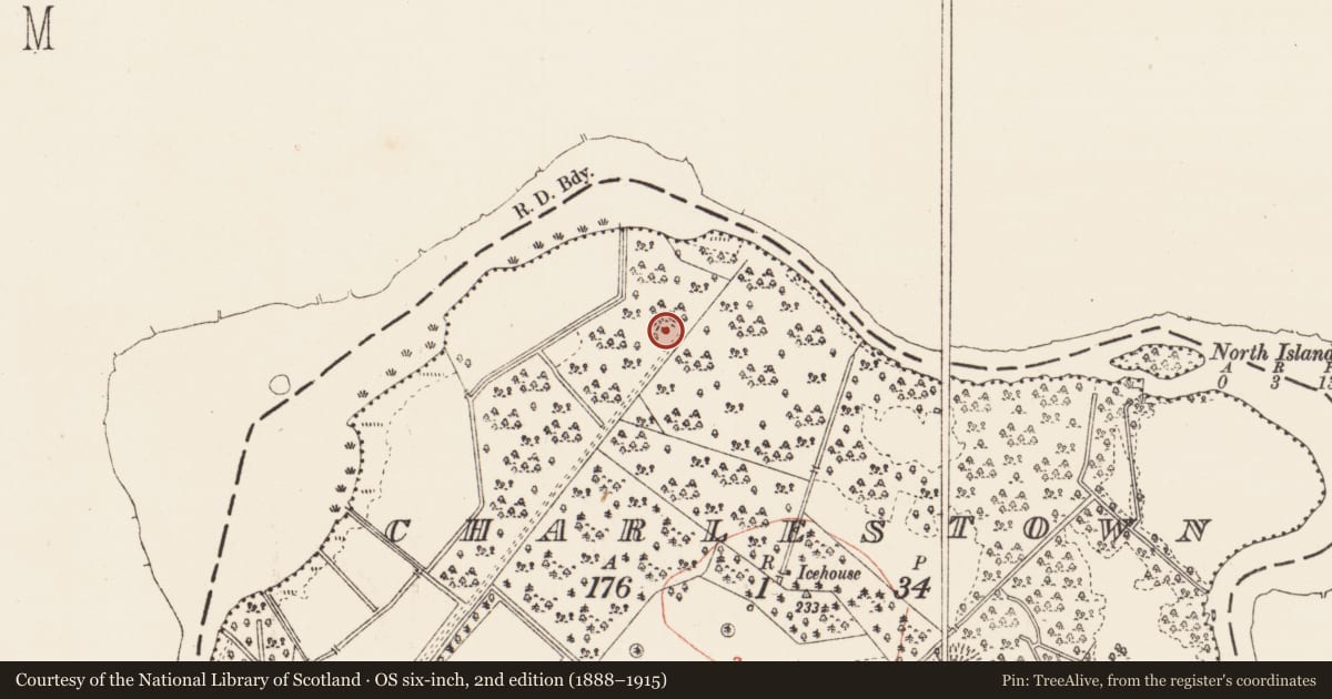 Ordnance Survey six-inch map, 2nd edition (1888–1915) covering the location of Ringfort - rath, Charlestown, County Roscommon, with a pin at the register's coordinates