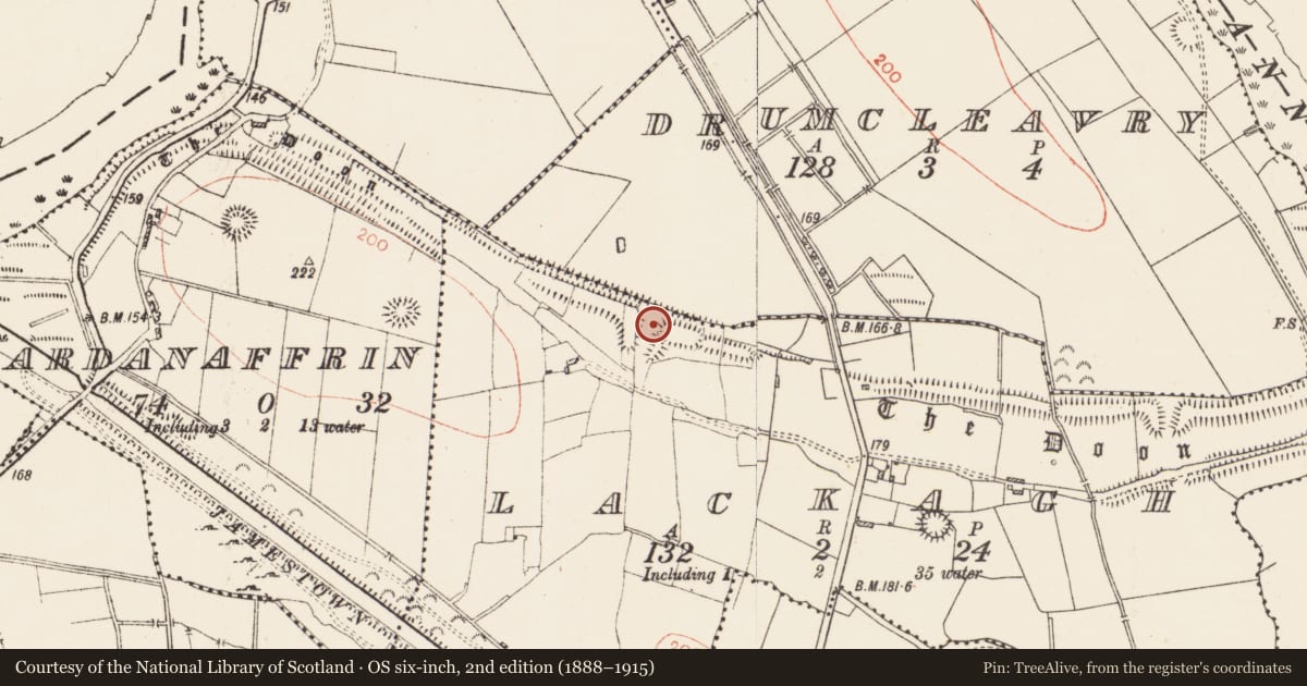 Ordnance Survey six-inch map, 2nd edition (1888–1915) covering the location of Linear earthwork, County Roscommon, with a pin at the register's coordinates