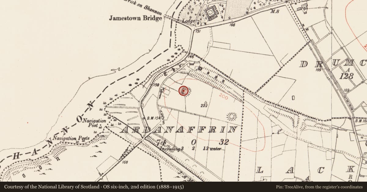 Ordnance Survey six-inch map, 2nd edition (1888–1915) covering the location of Ringfort - rath, Ardanaffrin, County Roscommon, with a pin at the register's coordinates
