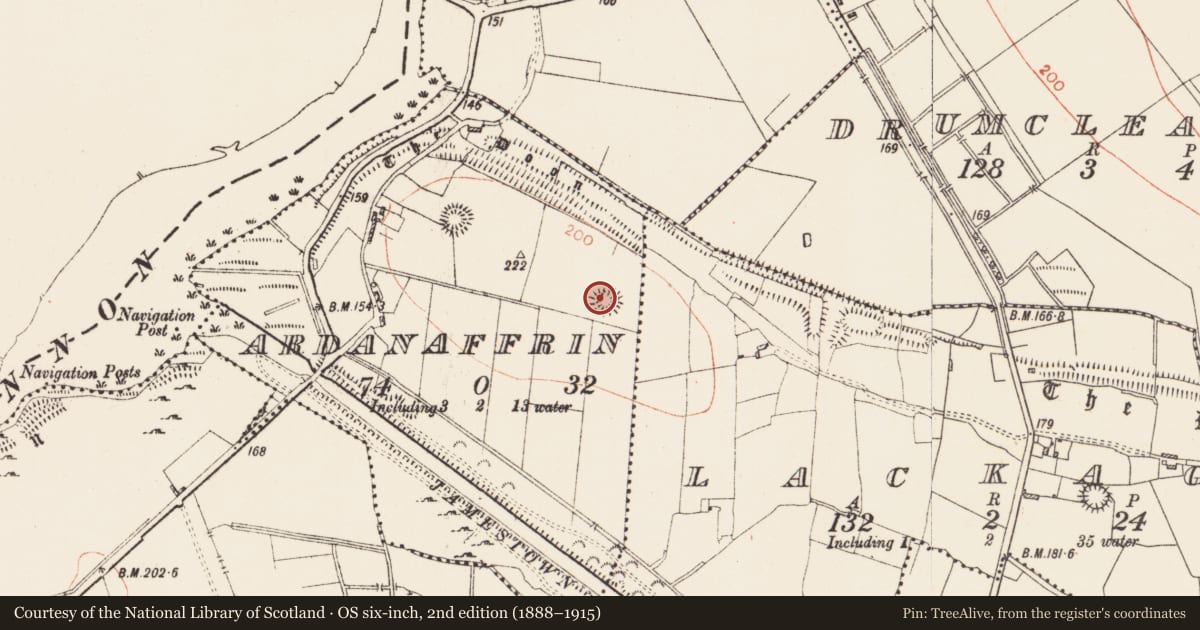 Ordnance Survey six-inch map, 2nd edition (1888–1915) covering the location of Ringfort - rath, Ardanaffrin, County Roscommon, with a pin at the register's coordinates
