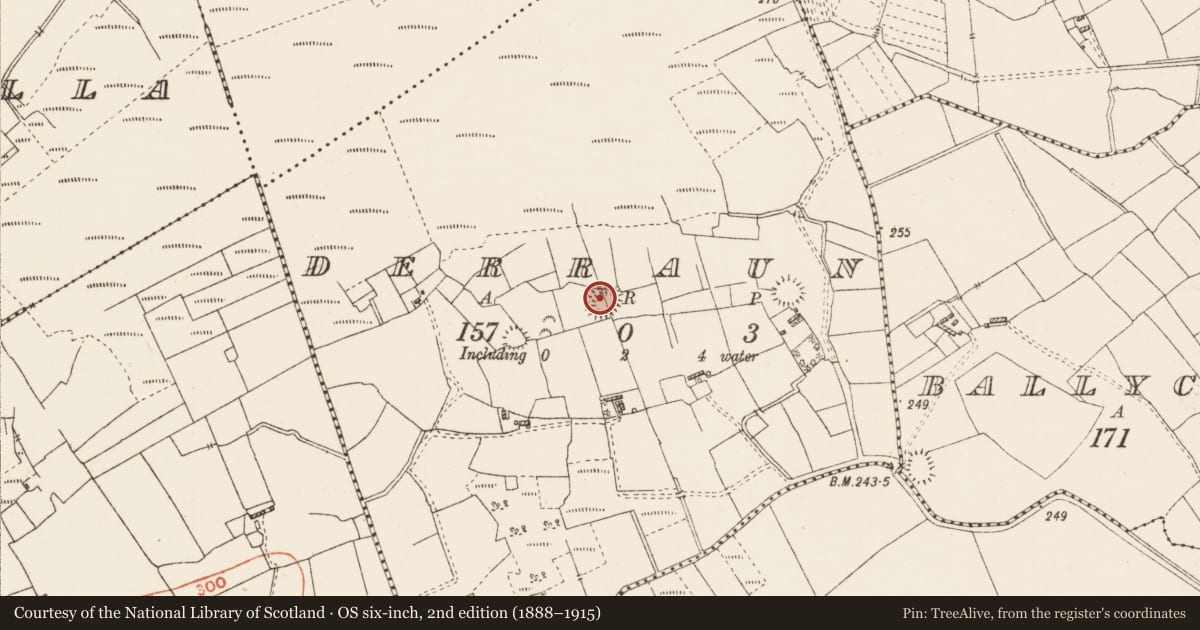 Ordnance Survey six-inch map, 2nd edition (1888–1915) covering the location of House - indeterminate date, Derraun, County Roscommon, with a pin at the register's coordinates