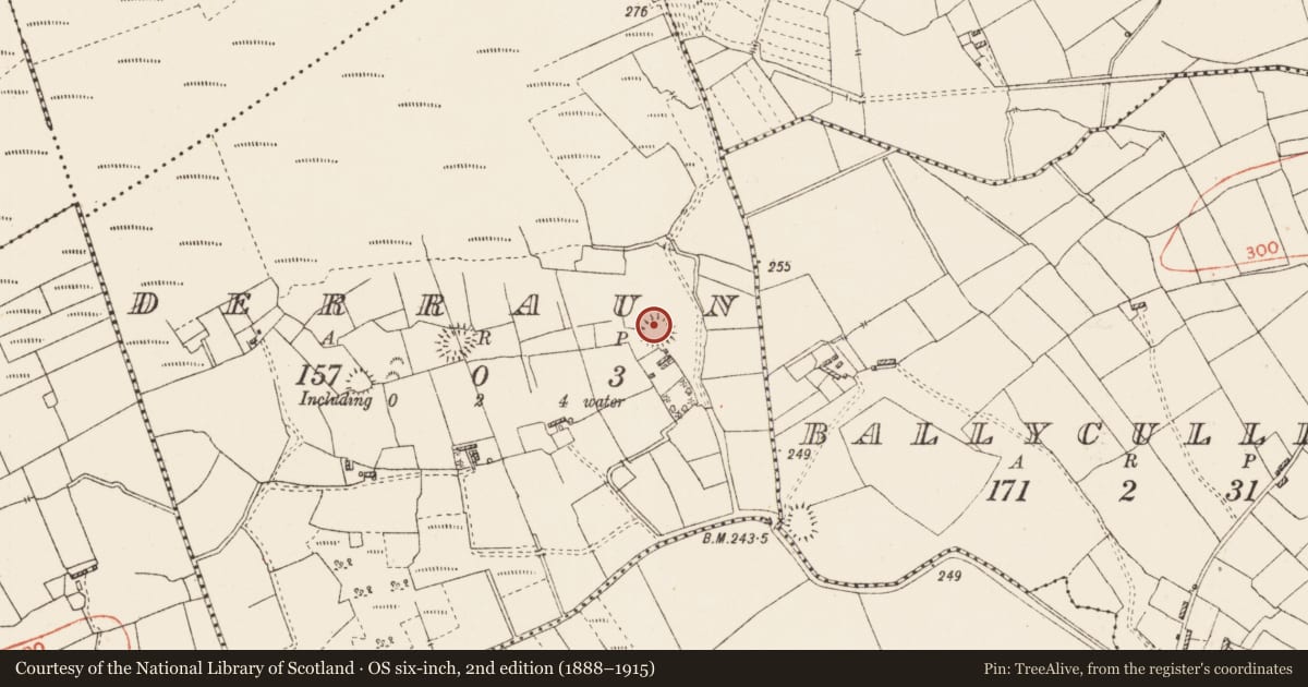 Ordnance Survey six-inch map, 2nd edition (1888–1915) covering the location of Ringfort - rath, Derraun, County Roscommon, with a pin at the register's coordinates