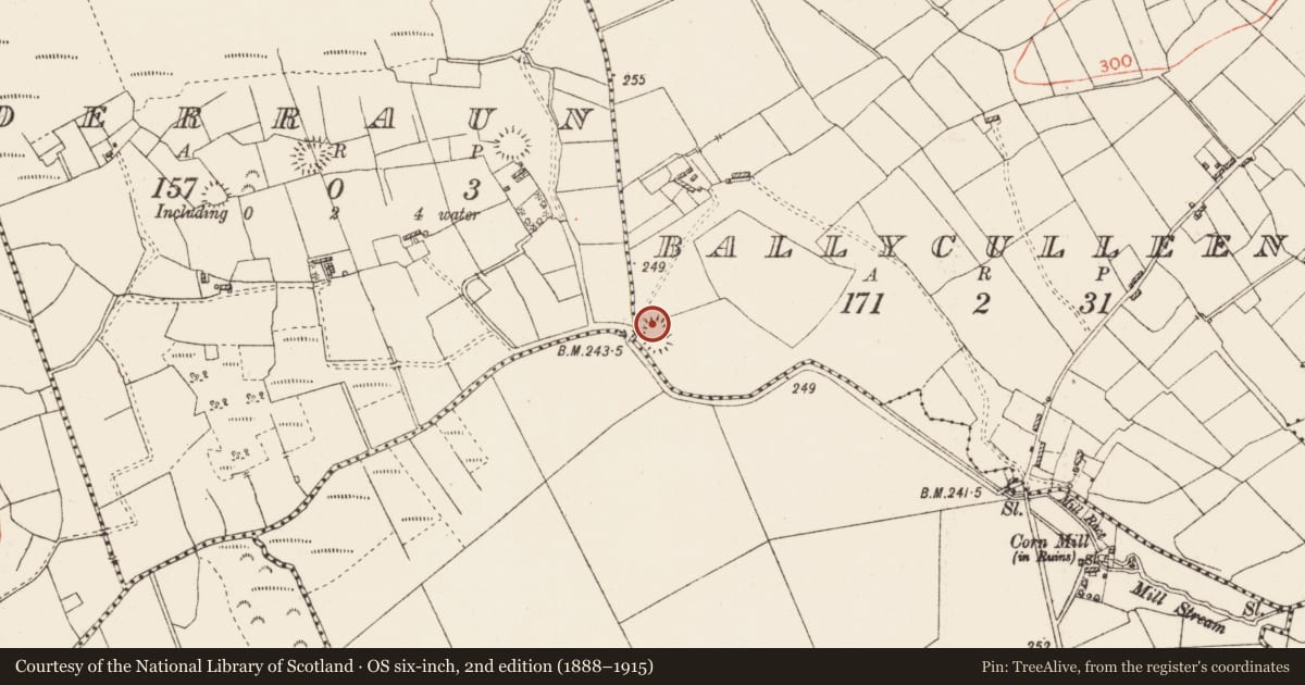 Ordnance Survey six-inch map, 2nd edition (1888–1915) covering the location of Moated site, Ballyculleen, County Roscommon, with a pin at the register's coordinates