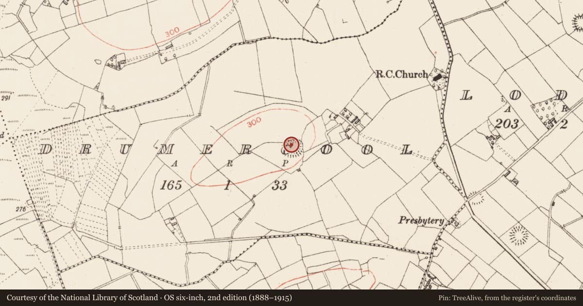 Ordnance Survey six-inch map, 2nd edition (1888–1915) covering the location of Ringfort - rath, Drumercool, County Roscommon, with a pin at the register's coordinates