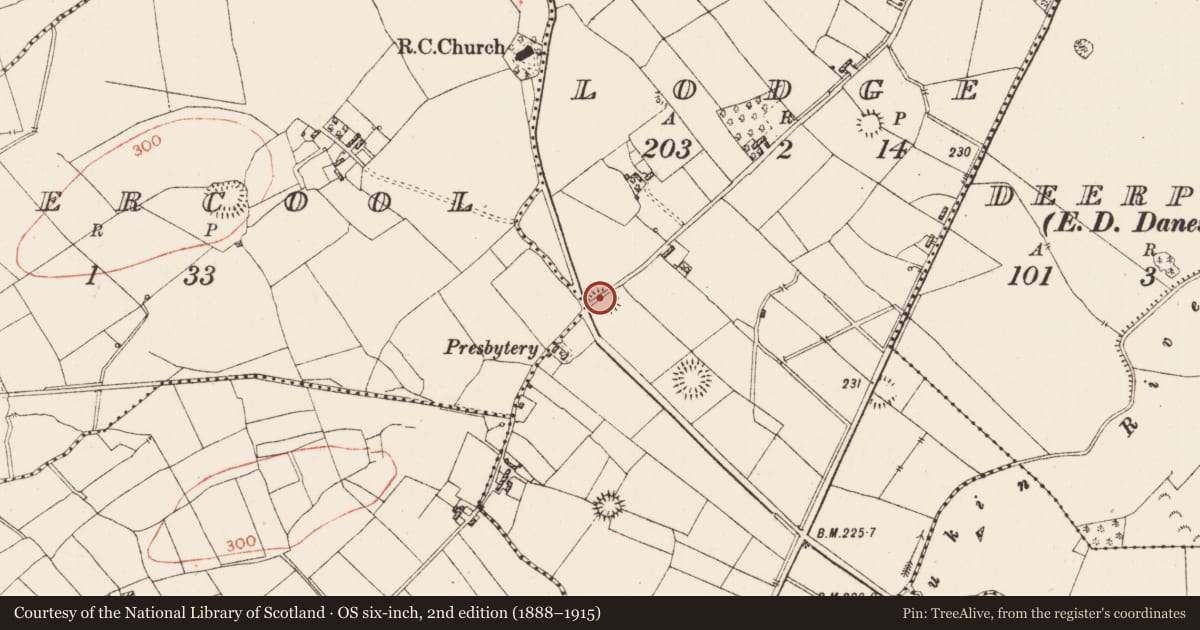 Ordnance Survey six-inch map, 2nd edition (1888–1915) covering the location of Ringfort - rath, Lodge, County Roscommon, with a pin at the register's coordinates