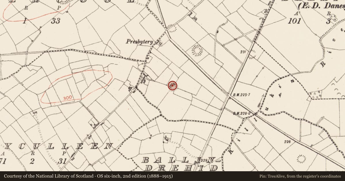 Ordnance Survey six-inch map, 2nd edition (1888–1915) covering the location of Ringfort - rath, Lodge, County Roscommon, with a pin at the register's coordinates