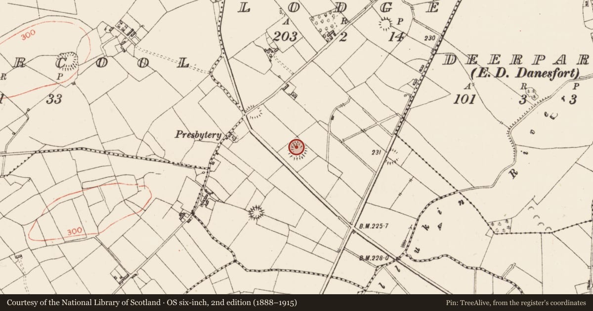 Ordnance Survey six-inch map, 2nd edition (1888–1915) covering the location of Ringfort - rath, Lodge, County Roscommon, with a pin at the register's coordinates