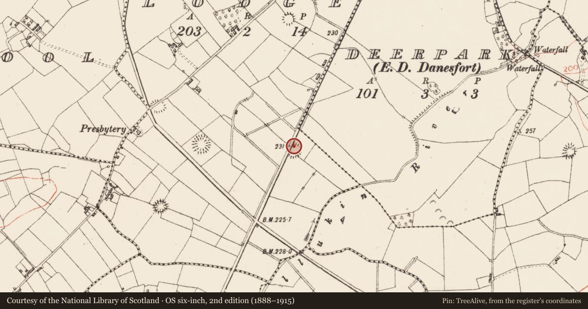 Ordnance Survey six-inch map, 2nd edition (1888–1915) covering the location of Ringfort - rath, Lodge, County Roscommon, with a pin at the register's coordinates