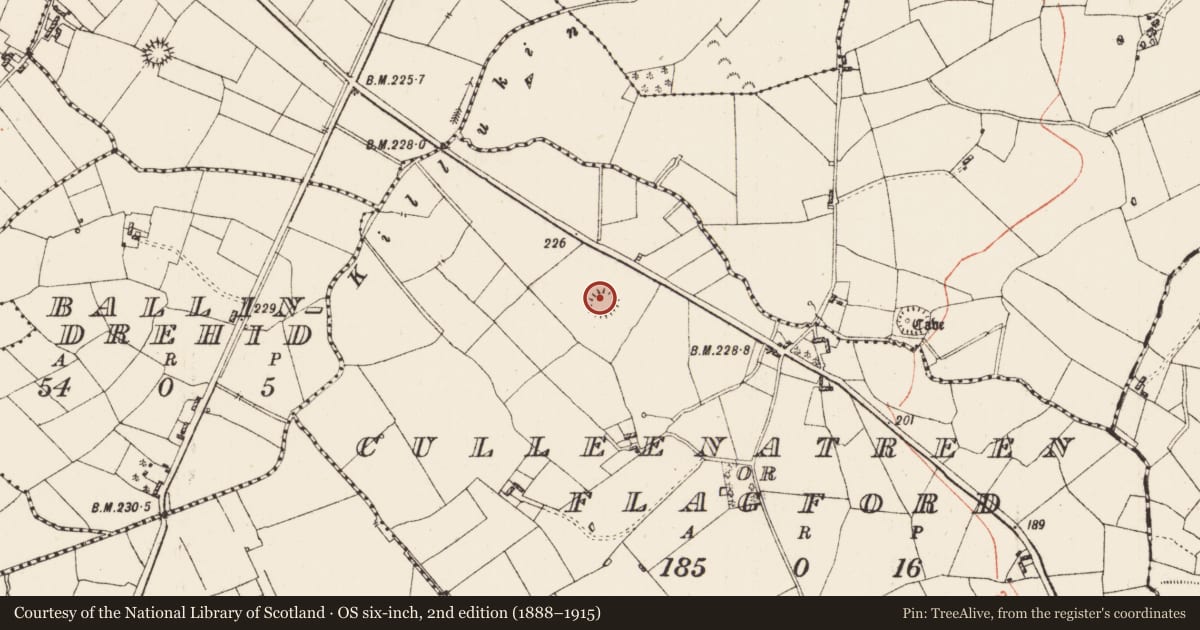 Ordnance Survey six-inch map, 2nd edition (1888–1915) covering the location of Ringfort - rath, Culleenatreen Or Flagford, County Roscommon, with a pin at the register's coordinates