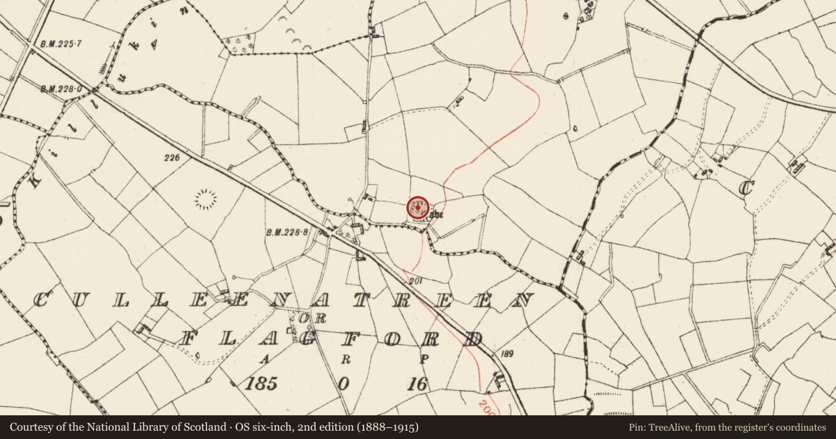 Ordnance Survey six-inch map, 2nd edition (1888–1915) covering the location of Ringfort - rath, Cartron, County Roscommon, with a pin at the register's coordinates