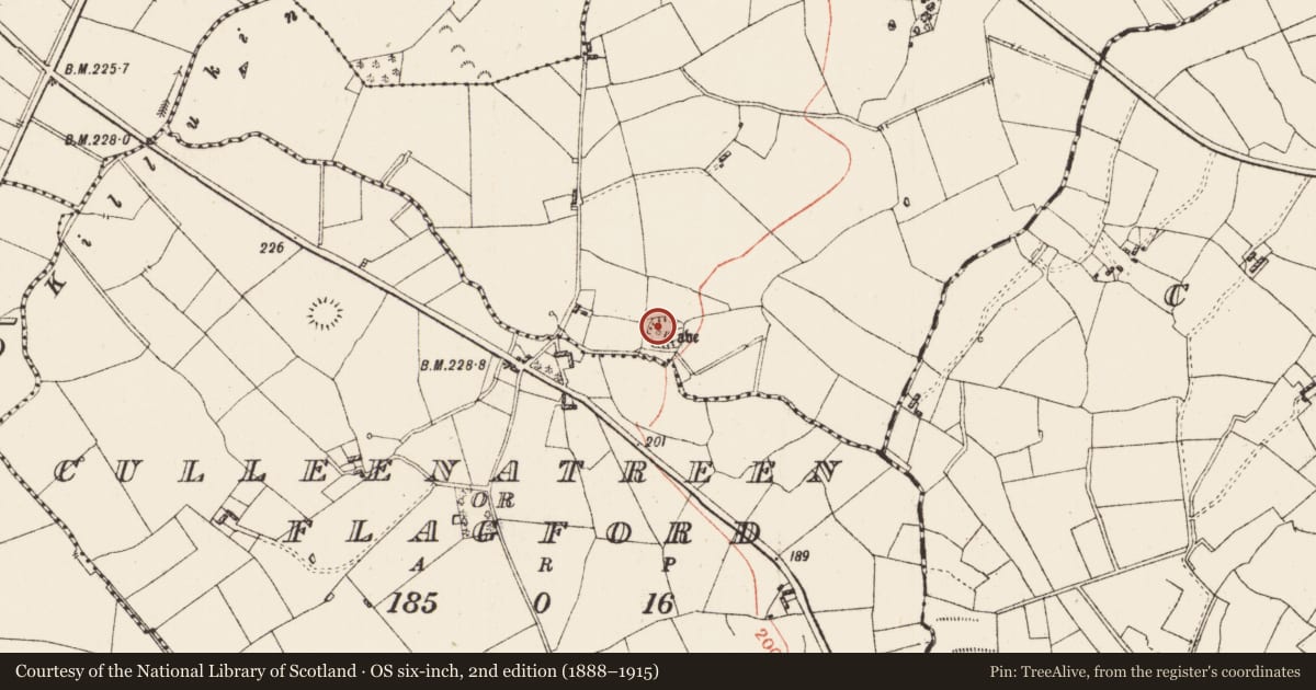 Ordnance Survey six-inch map, 2nd edition (1888–1915) covering the location of Souterrain, Cartron, County Roscommon, with a pin at the register's coordinates