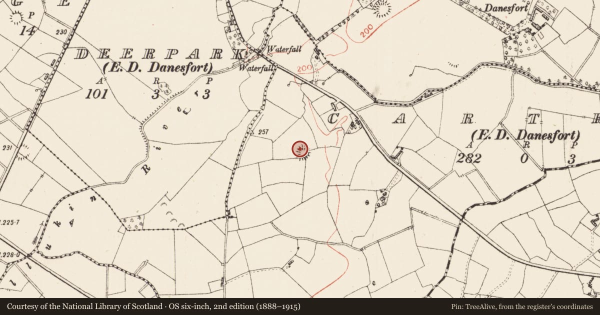 Ordnance Survey six-inch map, 2nd edition (1888–1915) covering the location of Ringfort - rath, Cartron, County Roscommon, with a pin at the register's coordinates