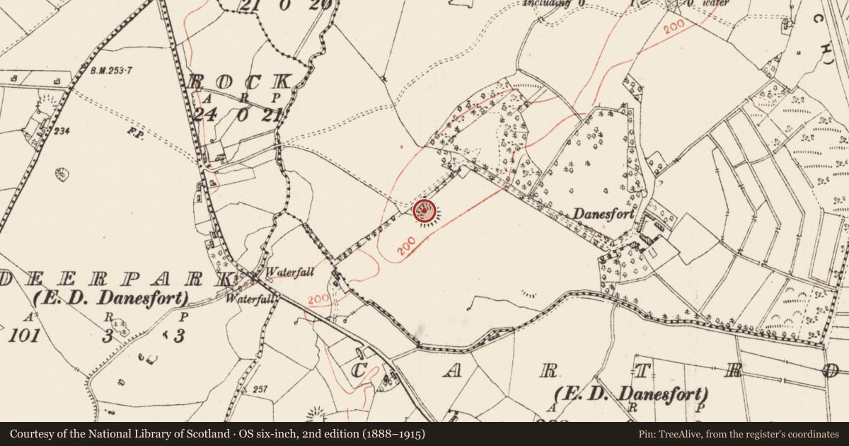 Ordnance Survey six-inch map, 2nd edition (1888–1915) covering the location of Ringfort - rath, Danesfort, County Roscommon, with a pin at the register's coordinates