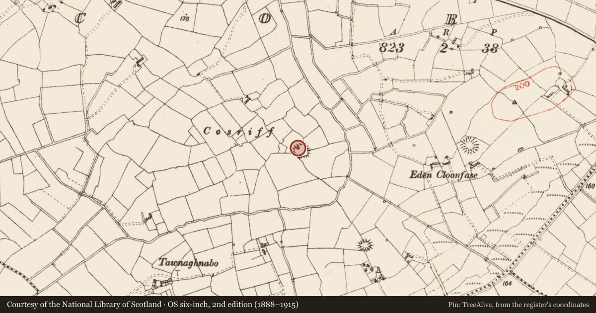Ordnance Survey six-inch map, 2nd edition (1888–1915) covering the location of Ringfort - rath, Corry, County Roscommon, with a pin at the register's coordinates