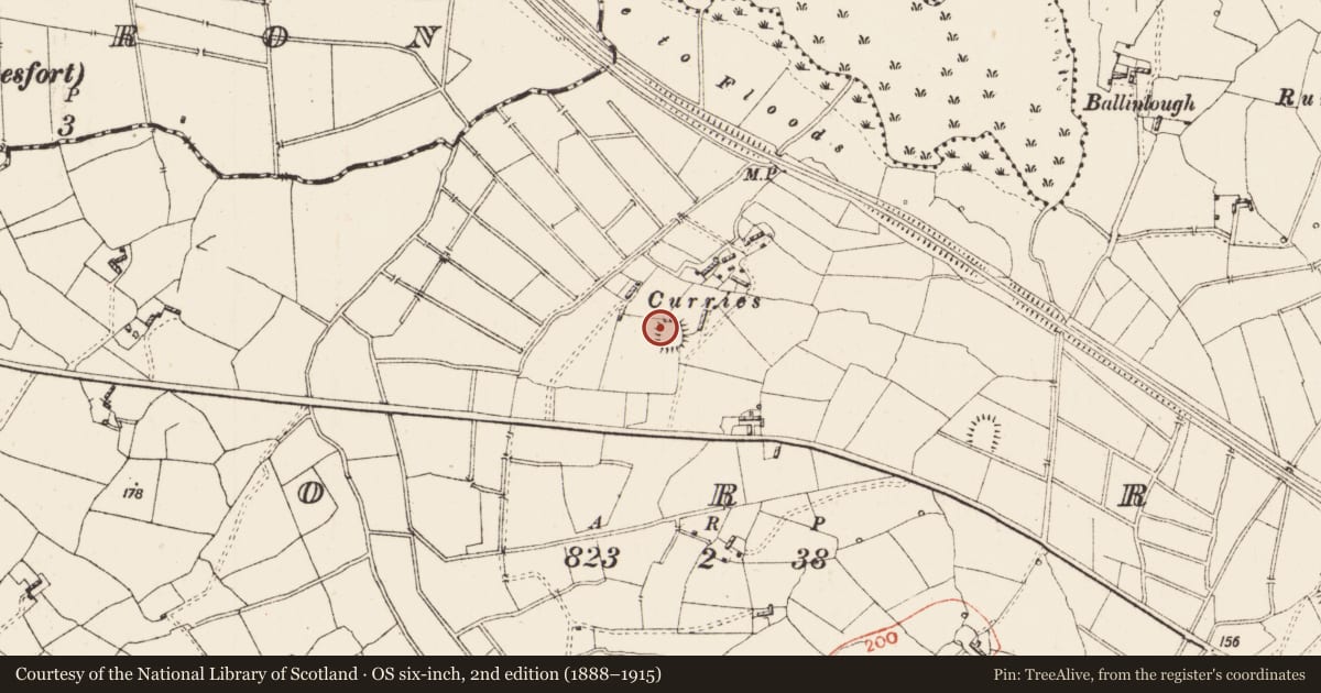 Ordnance Survey six-inch map, 2nd edition (1888–1915) covering the location of Ringfort - rath, Corry, County Roscommon, with a pin at the register's coordinates