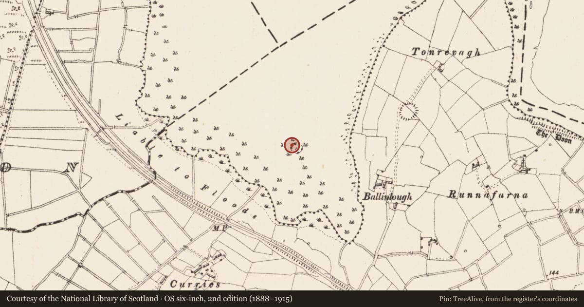 Ordnance Survey six-inch map, 2nd edition (1888–1915) covering the location of Crannog, Lough Corry, County Roscommon, with a pin at the register's coordinates