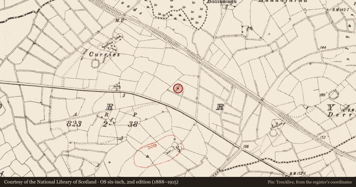 Ordnance Survey six-inch map, 2nd edition (1888–1915) covering the location of Ringfort - rath, Corry, County Roscommon, with a pin at the register's coordinates