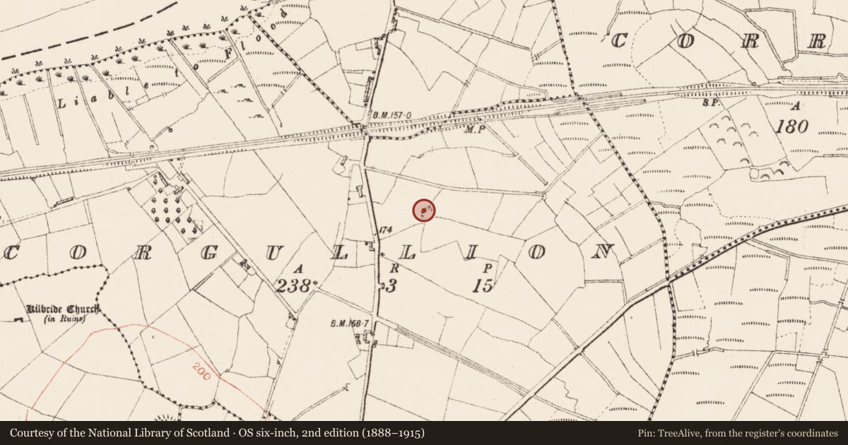 Ordnance Survey six-inch map, 2nd edition (1888–1915) covering the location of Ringfort - rath, Corgullion, County Roscommon, with a pin at the register's coordinates