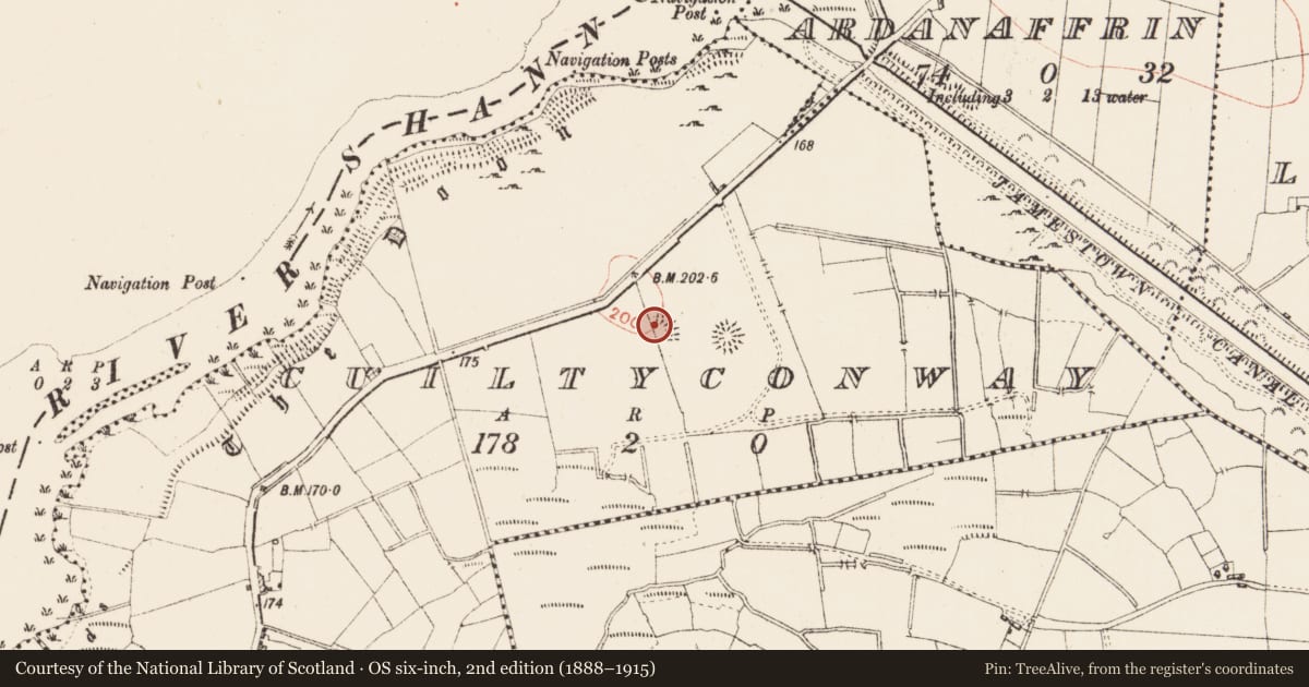 Ordnance Survey six-inch map, 2nd edition (1888–1915) covering the location of Ringfort - rath, Cuiltyconway, County Roscommon, with a pin at the register's coordinates