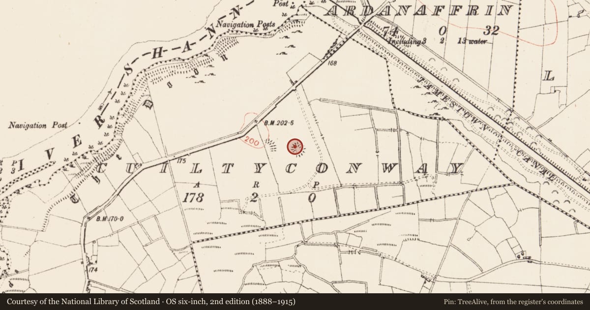 Ordnance Survey six-inch map, 2nd edition (1888–1915) covering the location of Ringfort - rath, Cuiltyconway, County Roscommon, with a pin at the register's coordinates