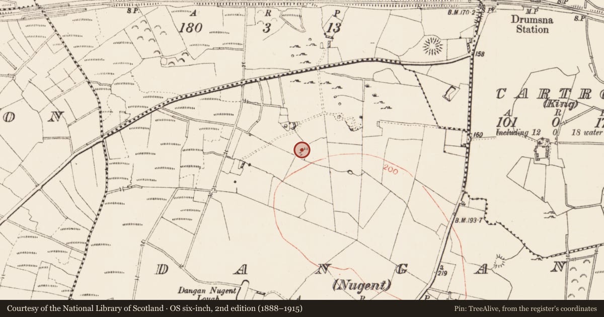 Ordnance Survey six-inch map, 2nd edition (1888–1915) covering the location of Ringfort - rath, Dangan (Nugent), County Roscommon, with a pin at the register's coordinates