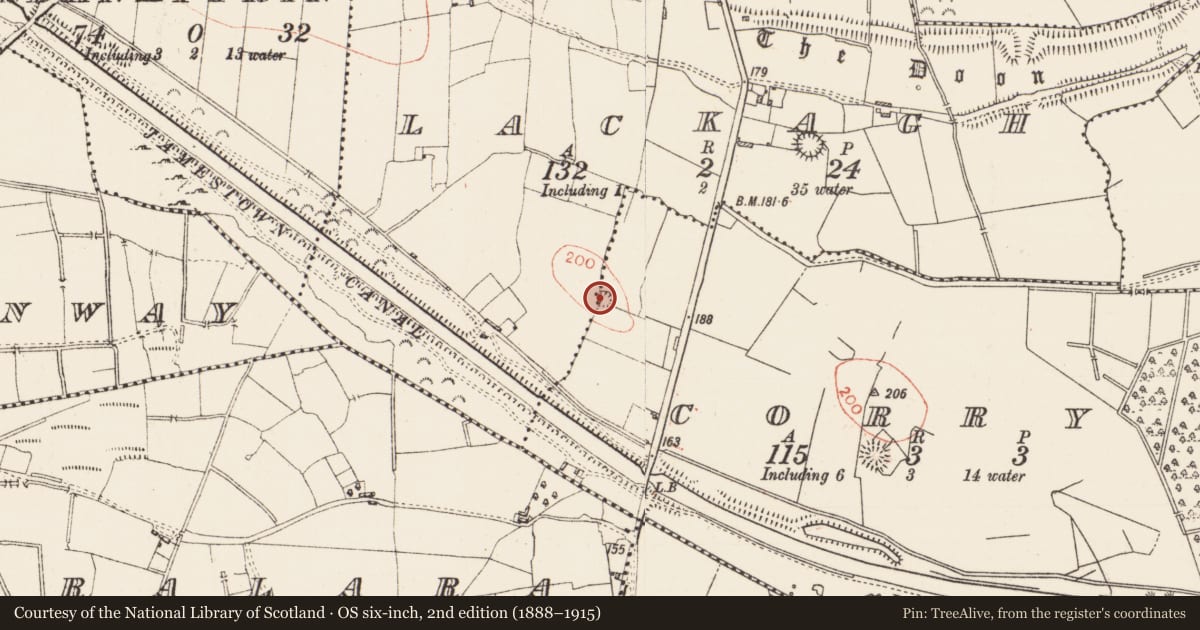Ordnance Survey six-inch map, 2nd edition (1888–1915) covering the location of Ringfort - rath, Corry, County Roscommon, with a pin at the register's coordinates