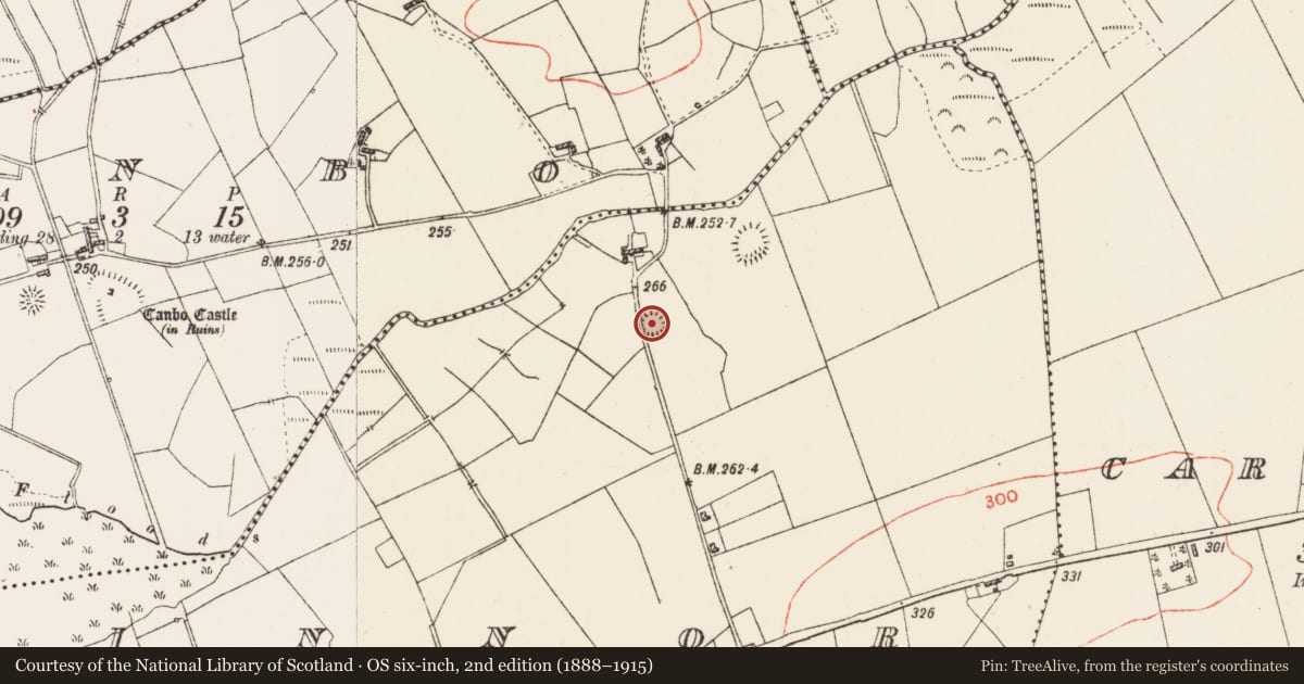 Ordnance Survey six-inch map, 2nd edition (1888–1915) covering the location of Ringfort - cashel, Finnor, County Roscommon, with a pin at the register's coordinates