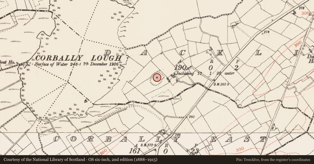 Ordnance Survey six-inch map, 2nd edition (1888–1915) covering the location of Ringfort - rath, Dacklin, County Roscommon, with a pin at the register's coordinates