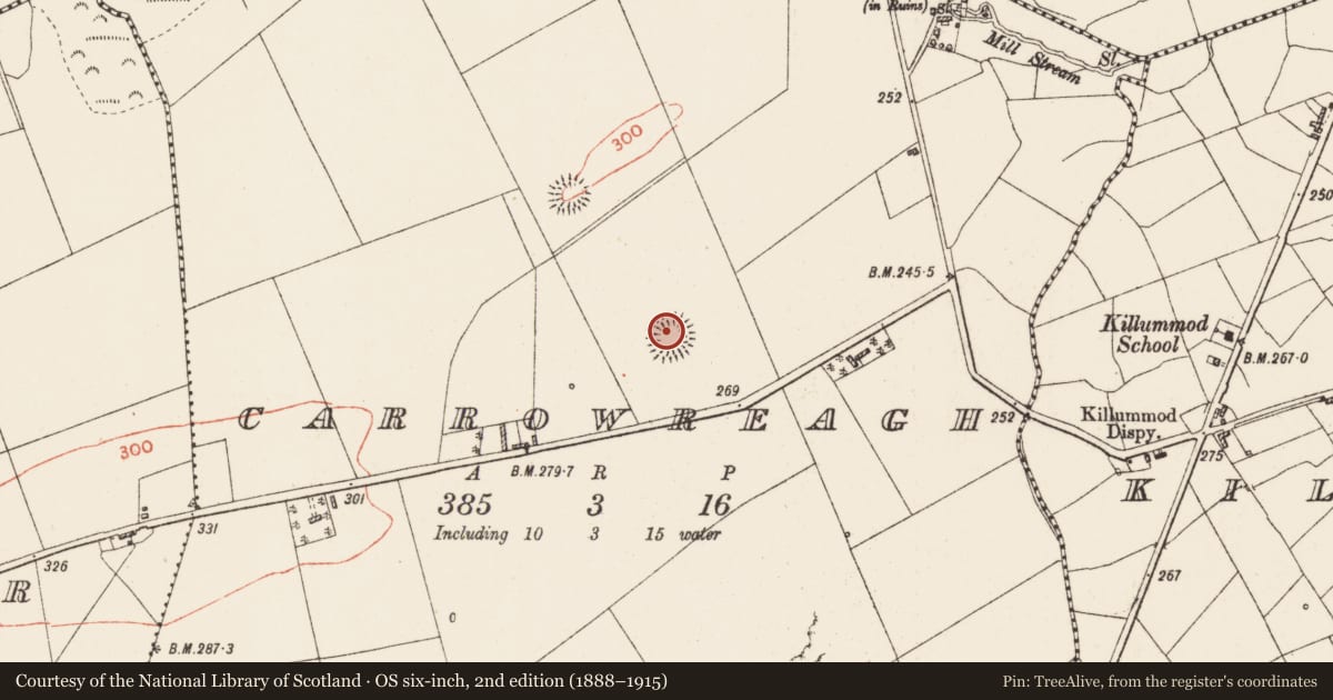 Ordnance Survey six-inch map, 2nd edition (1888–1915) covering the location of Ringfort - rath, Carrowreagh, County Roscommon, with a pin at the register's coordinates