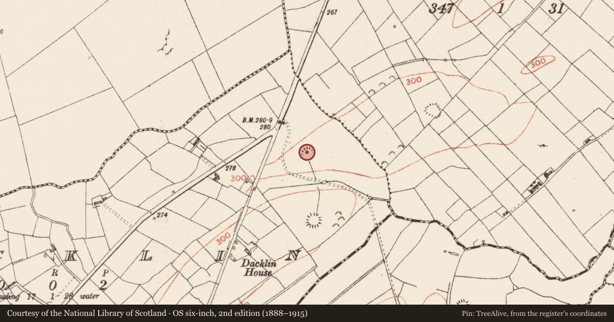 Ordnance Survey six-inch map, 2nd edition (1888–1915) covering the location of Ringfort - rath, Dacklin, County Roscommon, with a pin at the register's coordinates