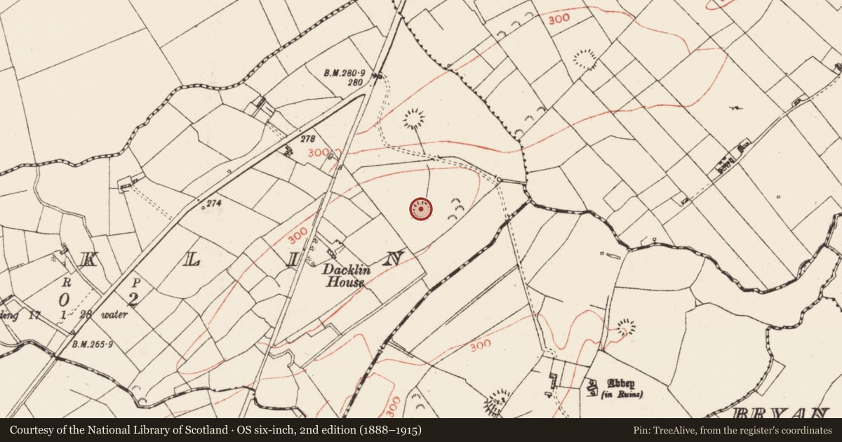 Ordnance Survey six-inch map, 2nd edition (1888–1915) covering the location of Ringfort - rath, Dacklin, County Roscommon, with a pin at the register's coordinates