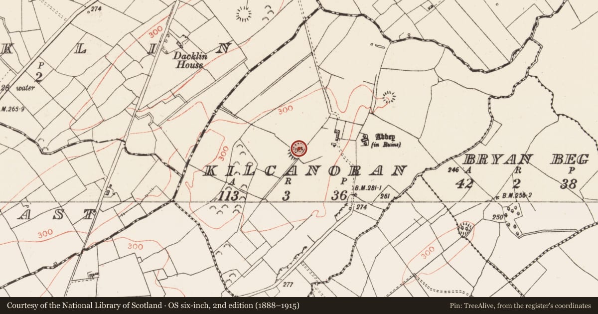 Ordnance Survey six-inch map, 2nd edition (1888–1915) covering the location of Ringfort - rath, Kilcanoran, County Roscommon, with a pin at the register's coordinates